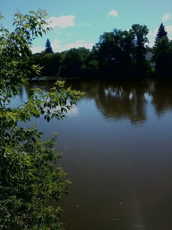 Thief River - Image 1