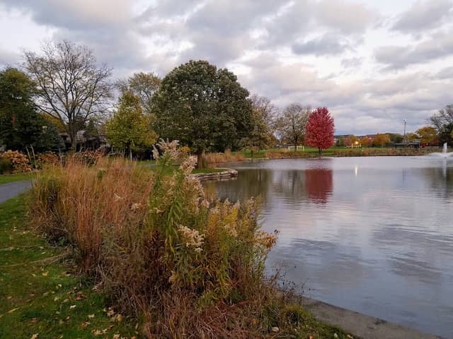 Diane Main Park - Image 1