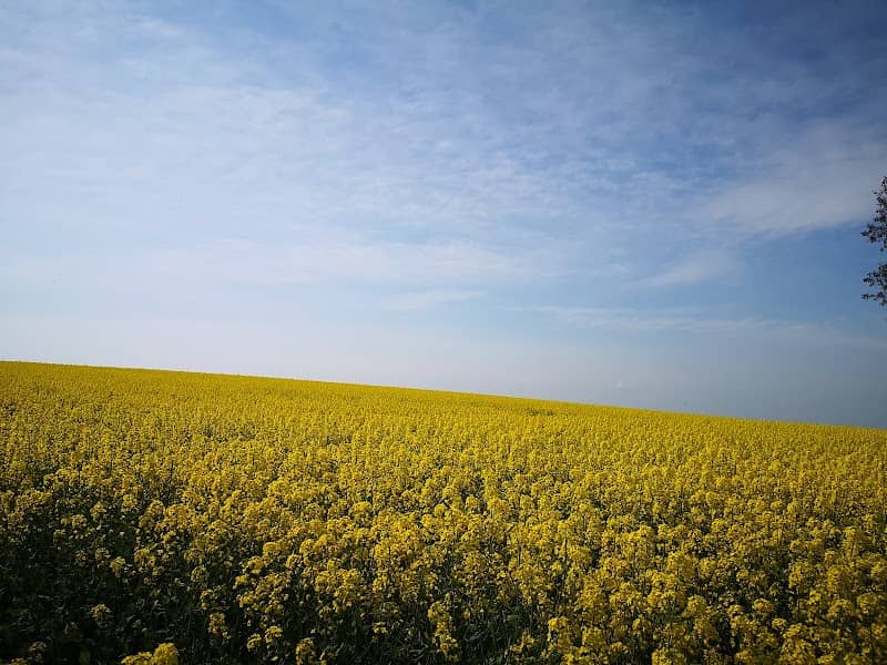 Sarnowska Góra - Image 1