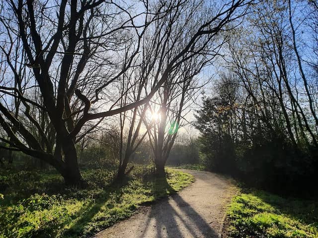 Trent Mill Nature Reserve - Image 1