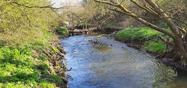 Trent Mill Nature Reserve - Image 2
