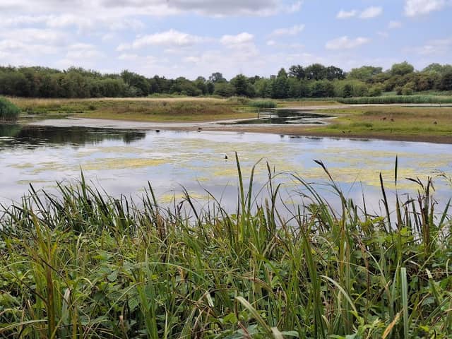 Brandon Marsh Nature Reserve - Image 2