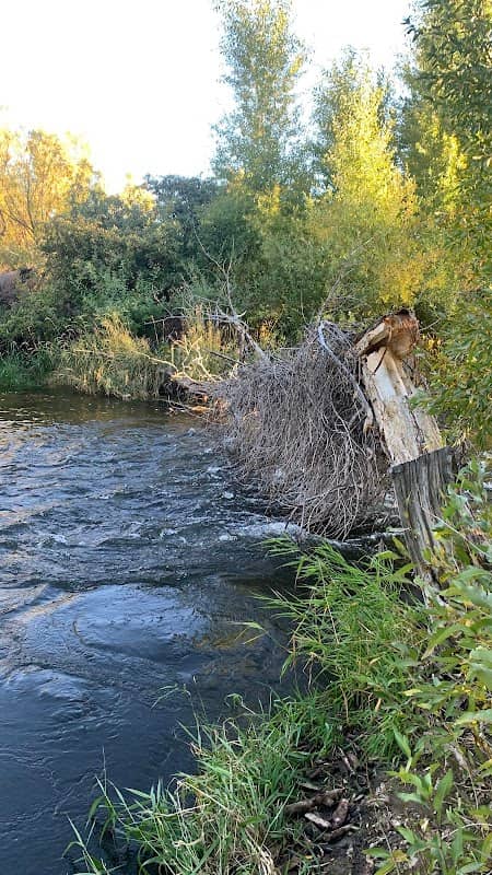 Weber River Fishing Access - Image 1
