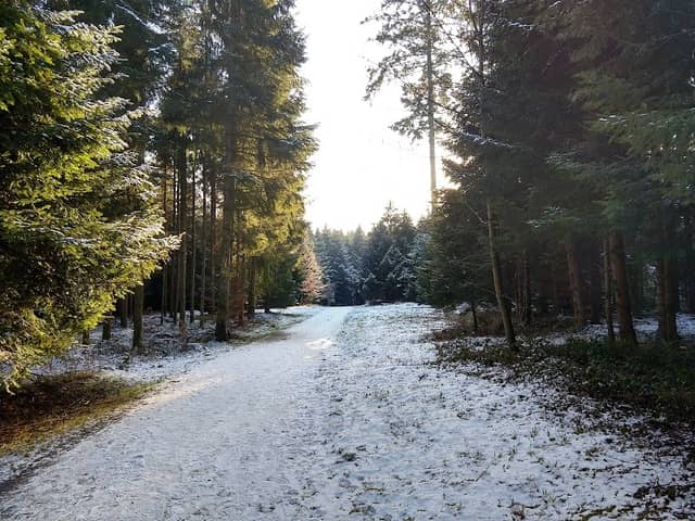 Gheiholz - Image 1