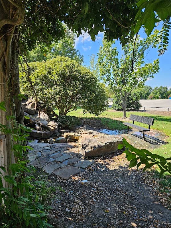 Mike Deak Field - Image 3