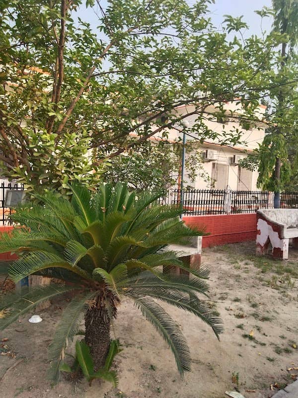 Dr. B. R. Ambedkar's Park - Image 1