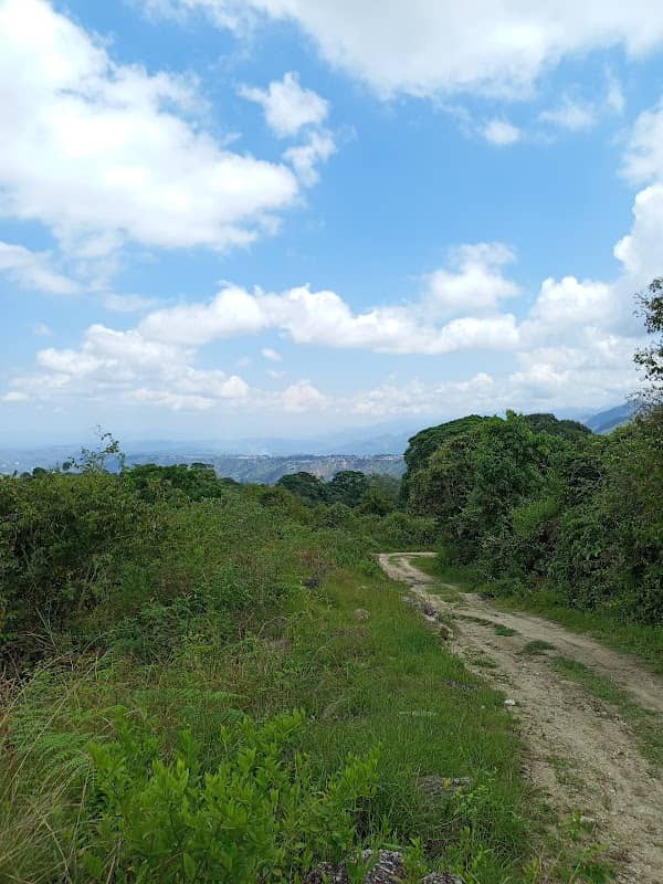 La Y - Image 2