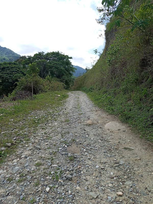 La Y - Image 1