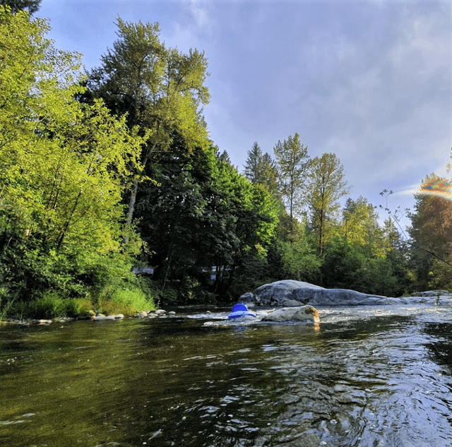 Davidson's Pool Park - Image 1