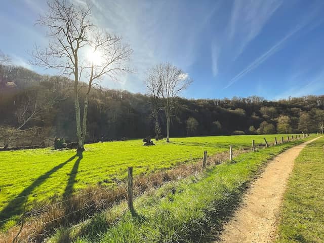 Petite Suisse Lorraine - Image 1
