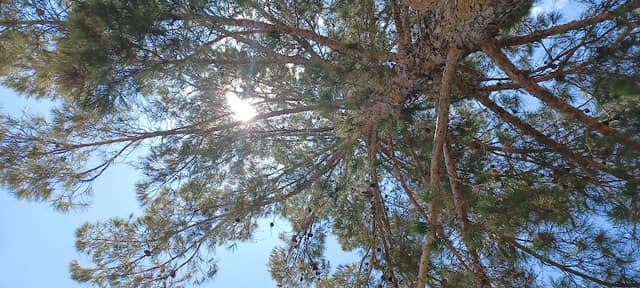 Bill McNeel Park - Image 2