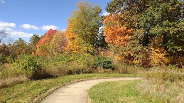Thomas Currier Nature Park - Image 1