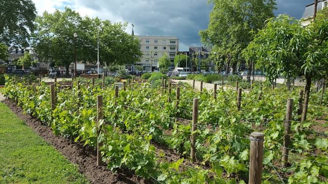 Square Charles Boudy - Image 2