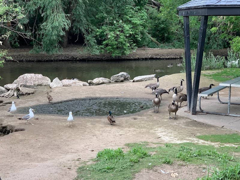 Layton Commons Park Duck Pond - Image 2