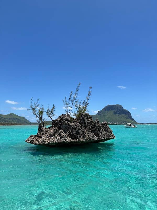 lokheet_ocean_viking - Image 1