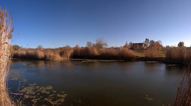Téglagyári gödör - Image 2