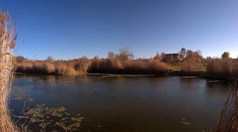 Téglagyári gödör - Image 2