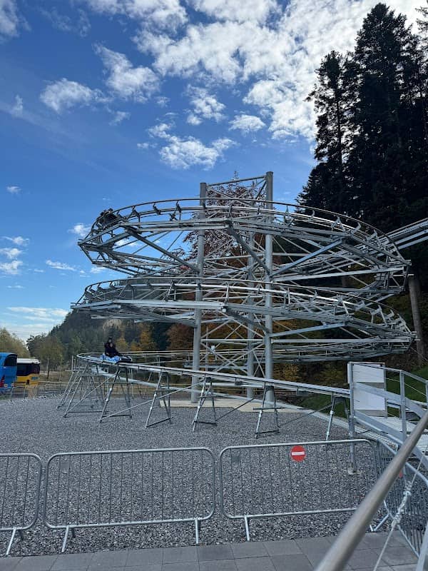 Bob Forest Coaster Voronet - Image 1
