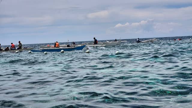Diver's heaven (dive site) - Image 1