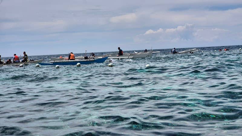 Diver's heaven (dive site) - Image 1