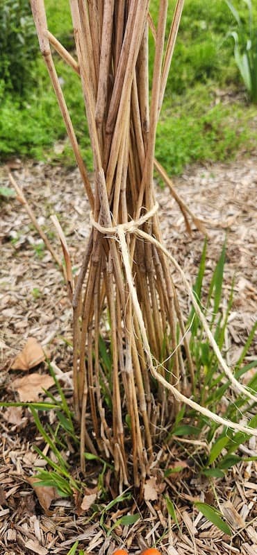 Paul Palmer Park - Image 1