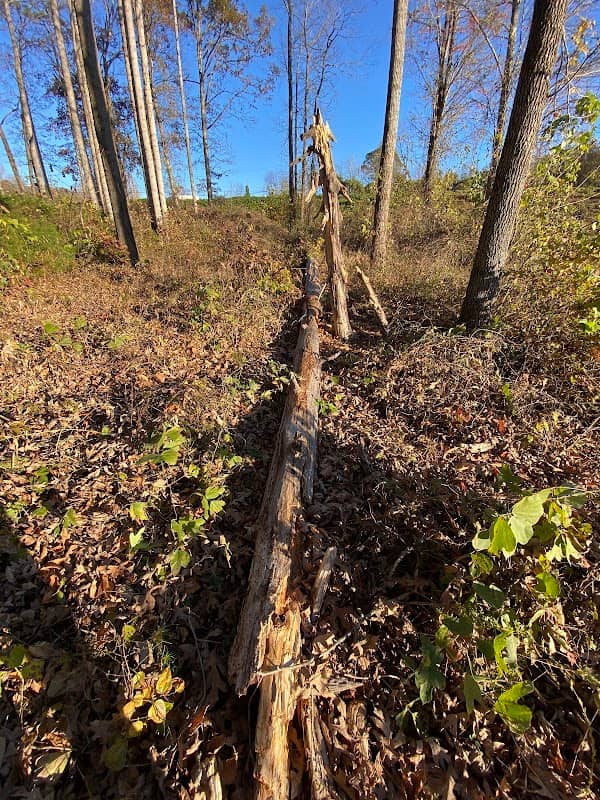 Bill Hendley Trail - Image 1