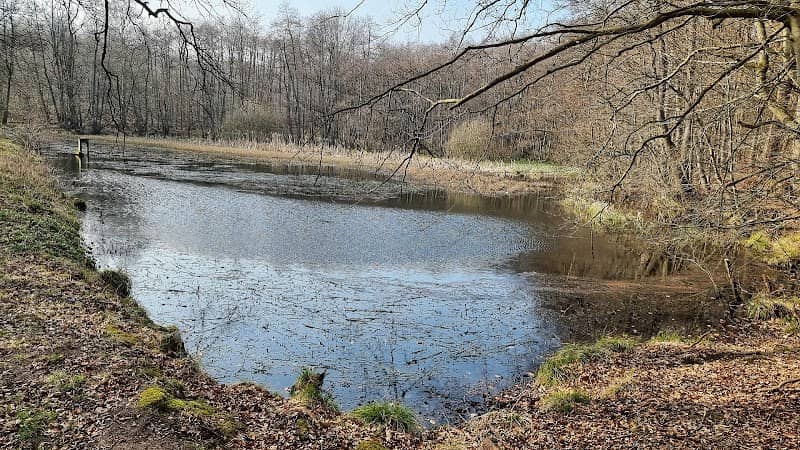 Alaunteich - Image 1