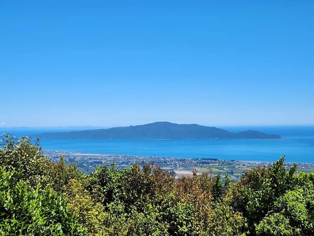 Hemi Matenga Memorial Park - Image 1
