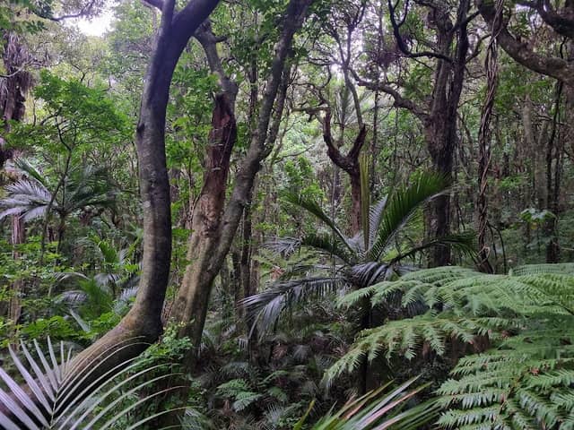 Hemi Matenga Memorial Park - Image 2