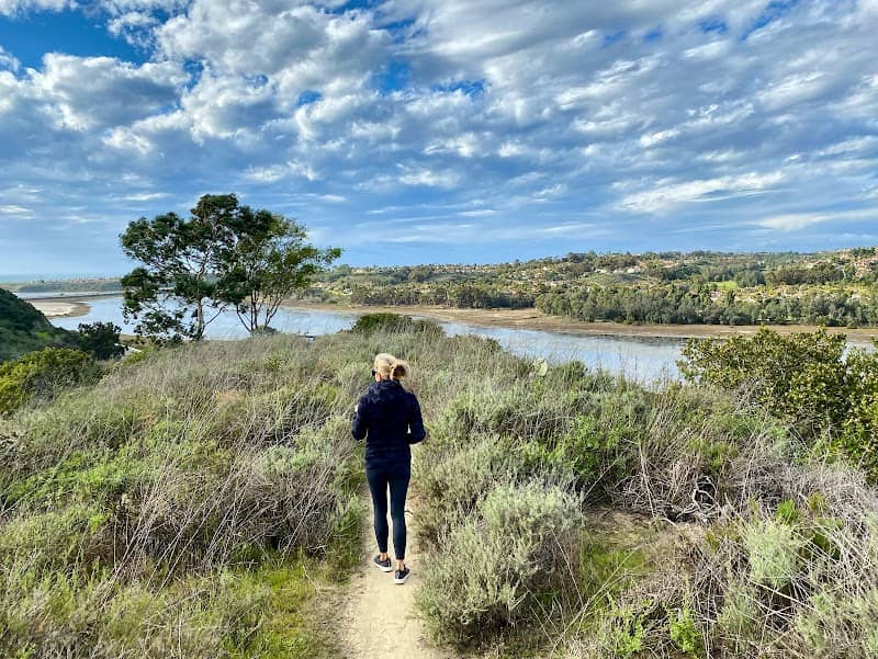 Barelman Property Open Space - Image 2