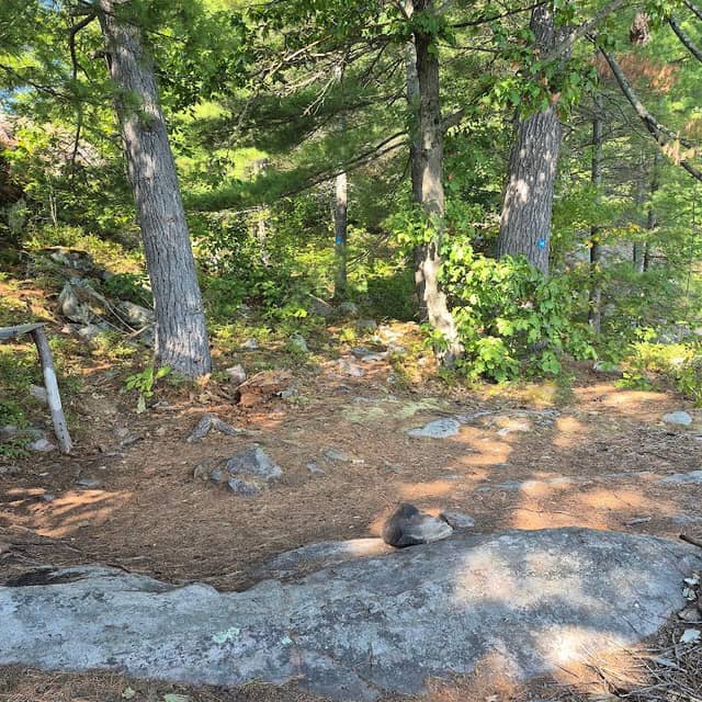 Campsite 536 - Image 2