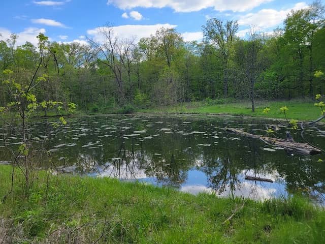 Harris Forest Preserve Trail - Image 1
