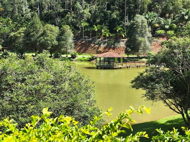 Rota dos Ipês - Image 1
