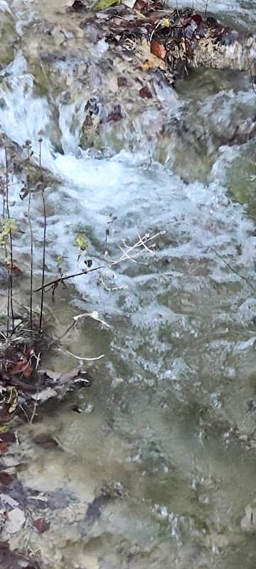 Wasserrad barfuesswäg am fluss - Image 1
