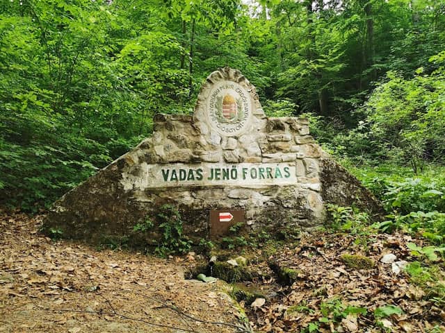 Vadas Jenő forrás - Image 1