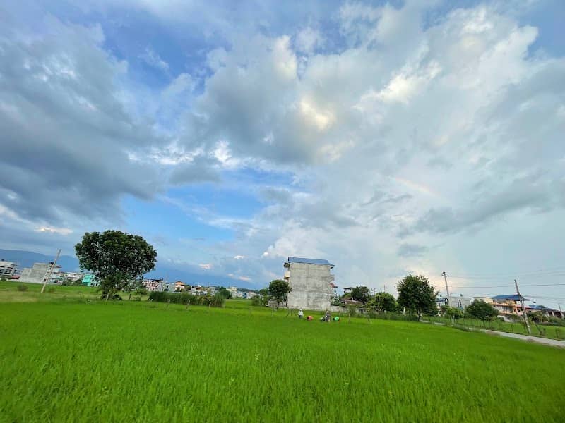Bhojad - Image 1