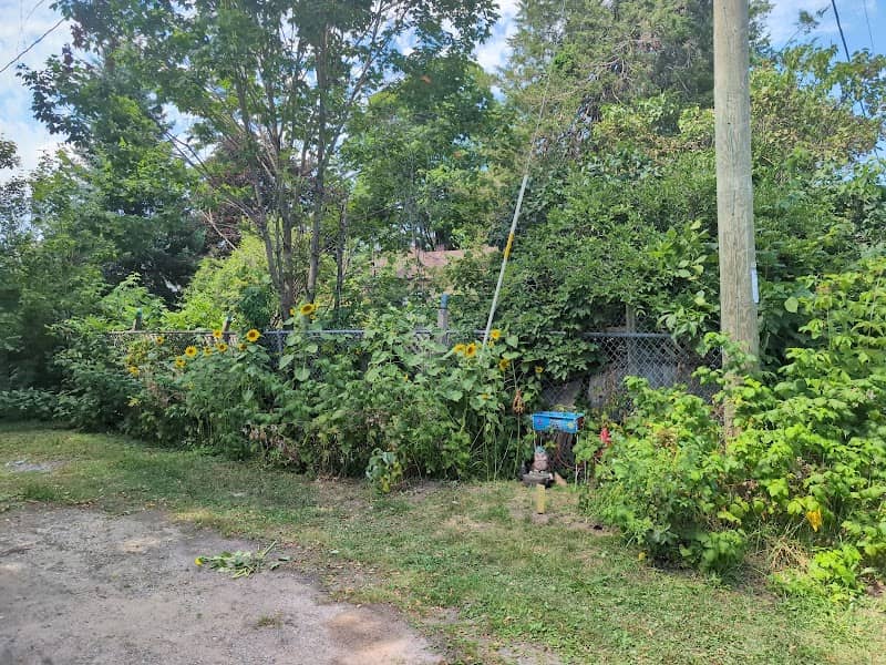 Peace Garden - Image 1