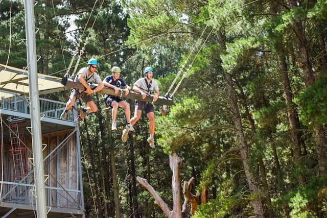 Mount Lofty Adventure Hub - Image 2