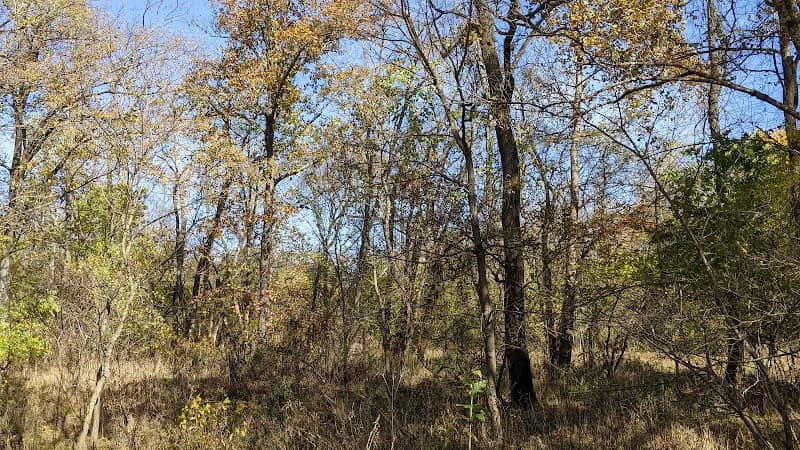 Enchanted Forest trails - Image 1