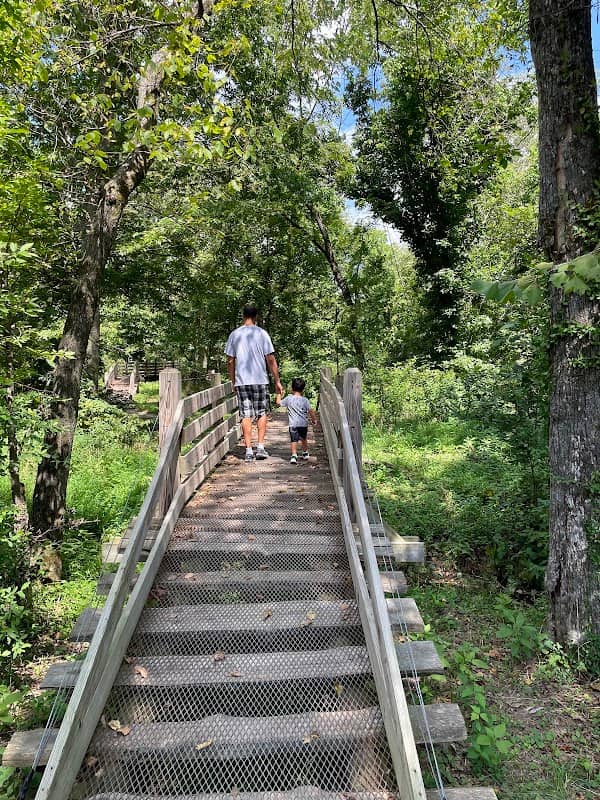 Enchanted Forest trails - Image 2