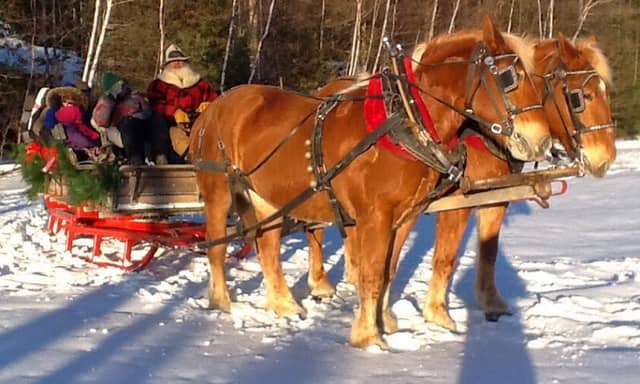 Adirondack Sleigh Rides - Image 2