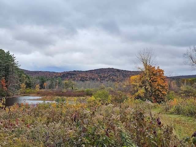 Mass Audubon Canoe Meadows Wildlife Sanctuary - Image 2
