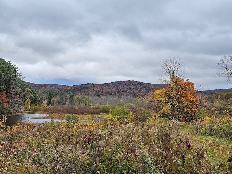 Mass Audubon Canoe Meadows Wildlife Sanctuary - Image 2