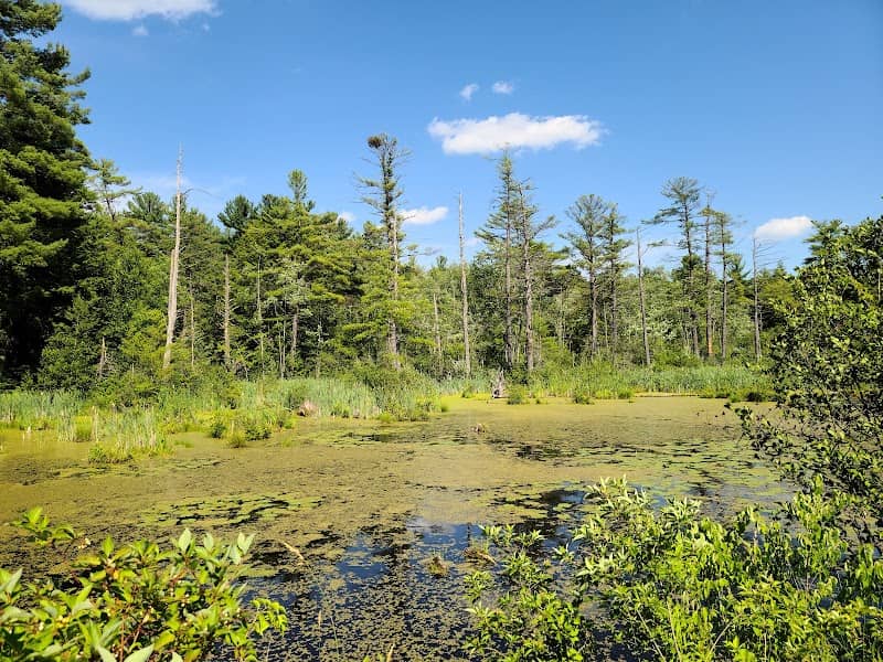 Mass Audubon Canoe Meadows Wildlife Sanctuary - Image 3