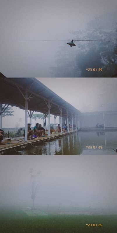 pemancingan candi - Image 1