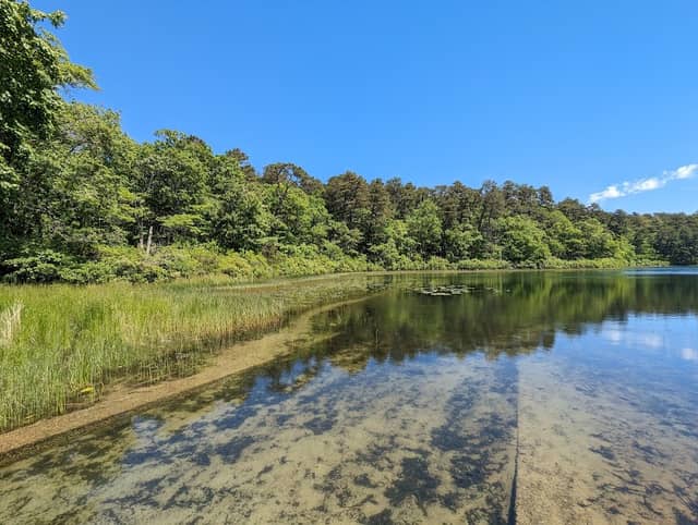 Nickerson State Park - Image 2