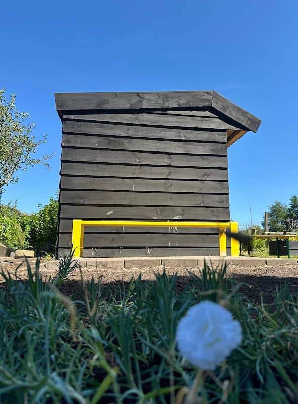 Veteranen perkje met ‘Yellow bench’ - Image 1
