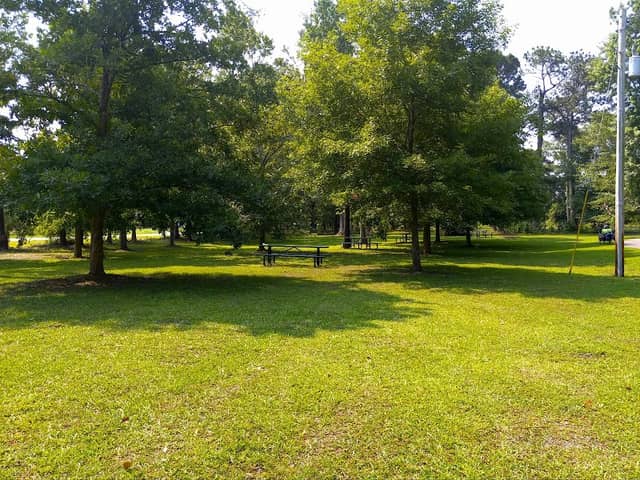 Pretoria Station Trailhead: Statesboro-Bulloch County Parks & Recreation - Image 2
