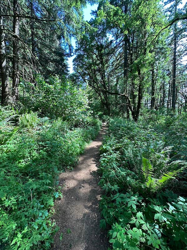 Skyline Trail - Image 2