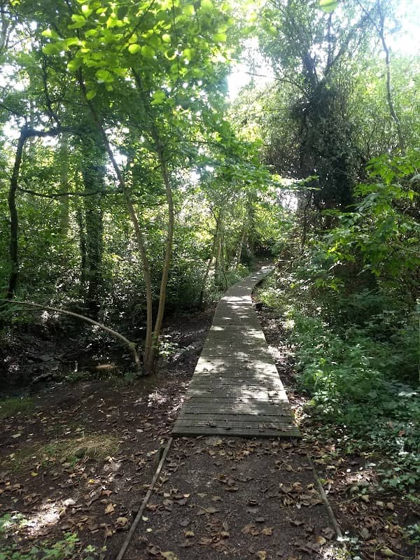 Mill Wood Nature Reserve - Image 1